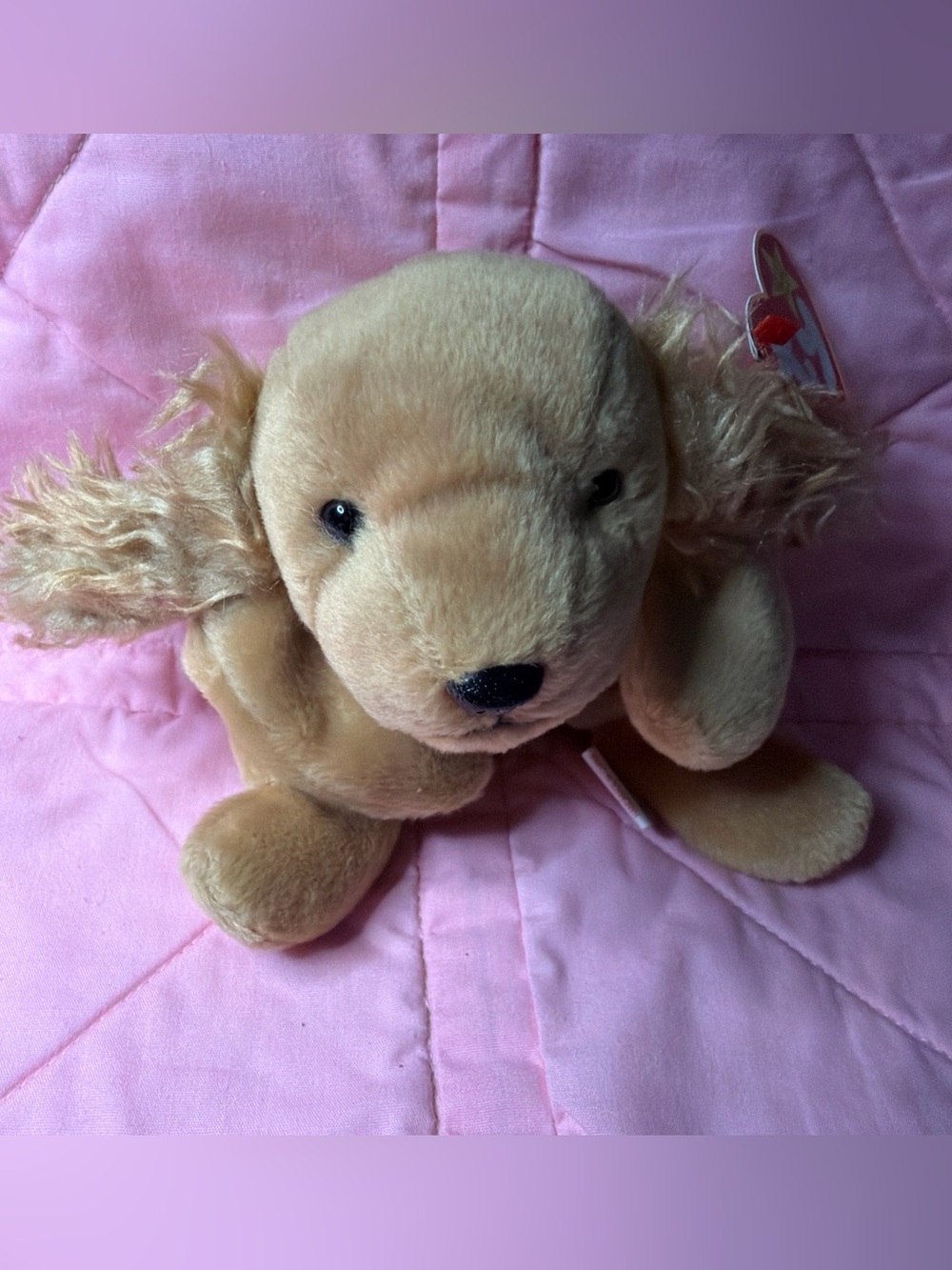 Ty The Beanie Babies Collection Spunky Dog Plush Toy Vintage 1997